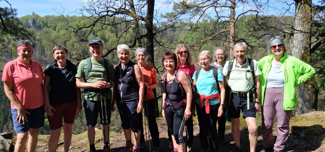 Frühlingswanderung auf der Donausteigrunde „Traumblickrunde“