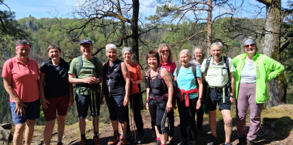 Frühlingswanderung auf der Donausteigrunde „Traumblickrunde“