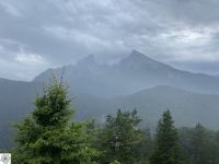 04 5551B36C 497D 4394 9F17 0C73DFAAB171 1 105 C