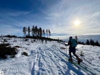 8 ST Hochficht Kammweg