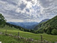03 IMG 20260531 WA0018