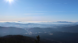 03 Falkenstein_0016