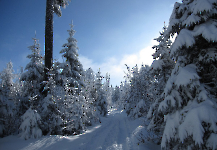 Winterwanderungen-Allgemein