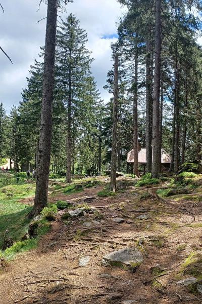 14 Osserkapelle 20220522 122137 20221215 1787834559