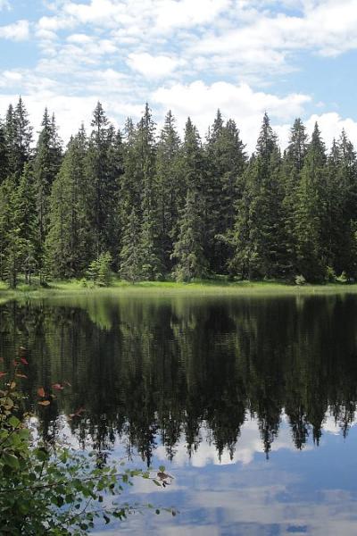 Elendsbachschwelle 20221215 1238882684