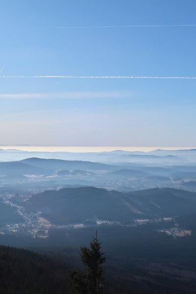 03 Falkenstein 0016 20221215 1102774557