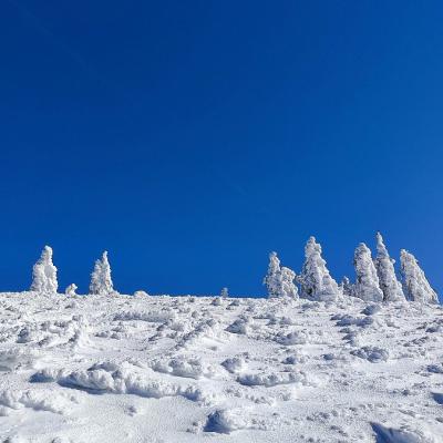 04 Lusen 071 20221215 1480319214