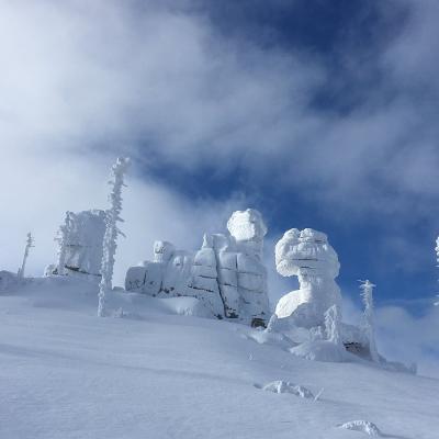 20 Wollsteine Am Dreisessel 20221215 1785264031